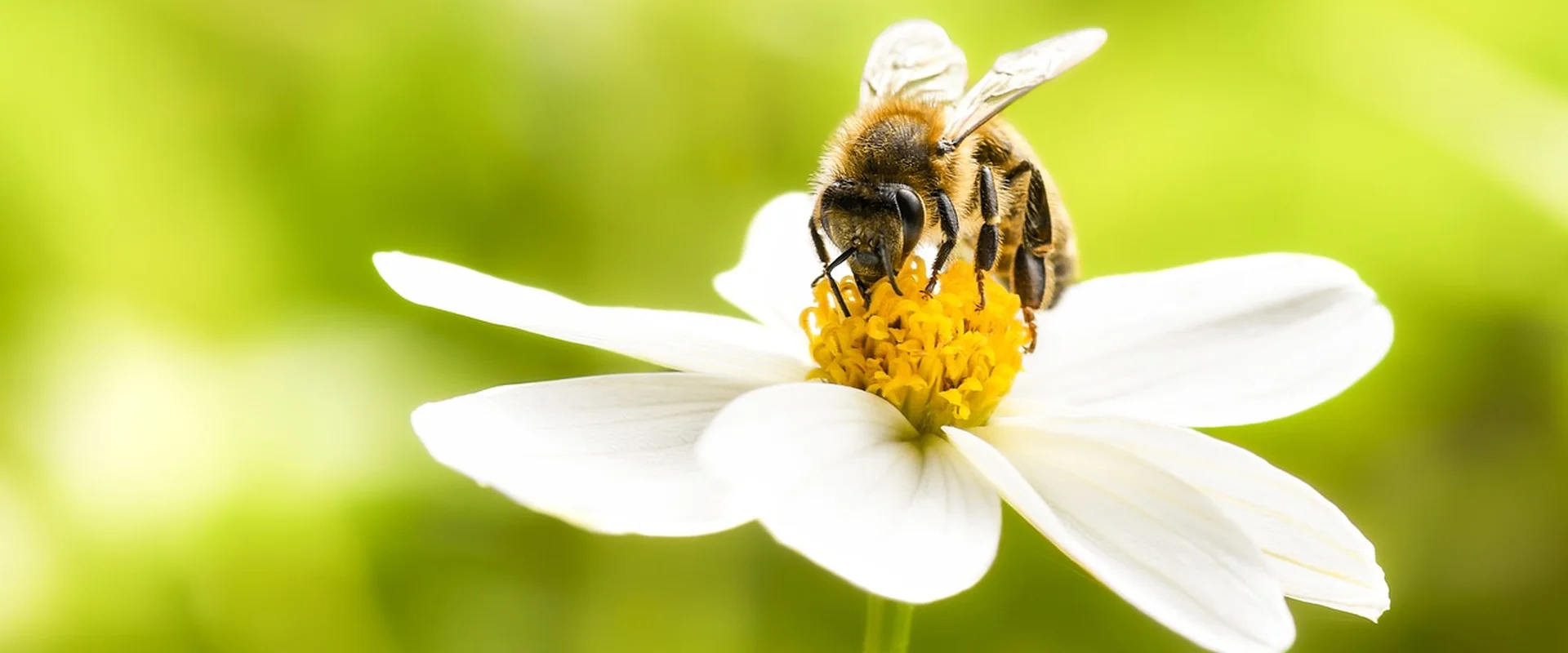 德州扑克下载PG电子